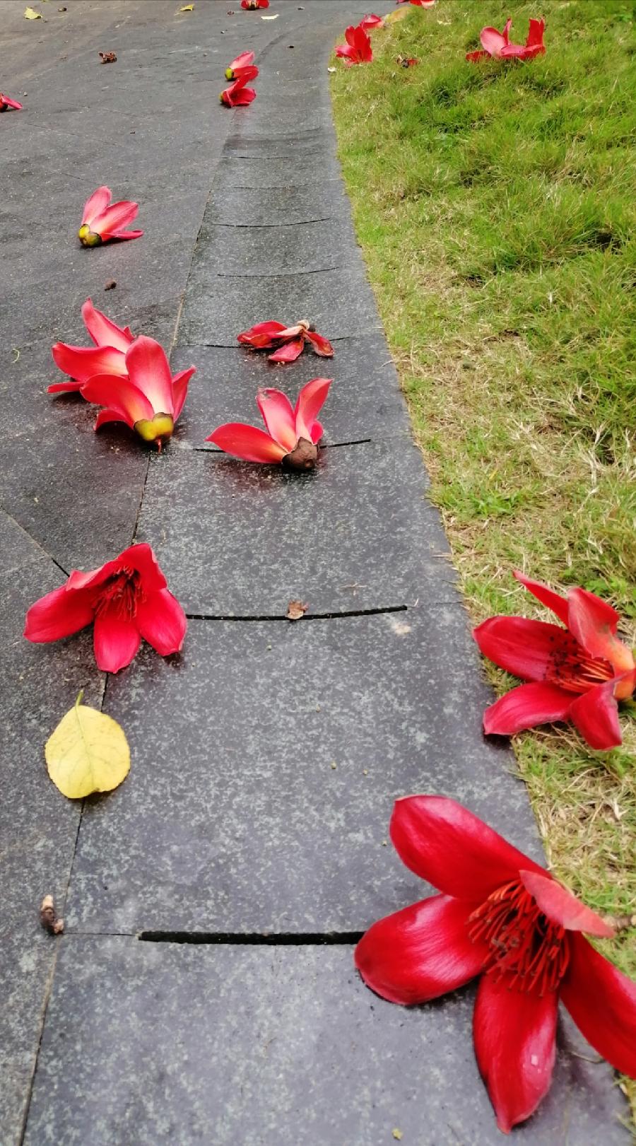 清明诗三首（新韵）文／江冲（图8）