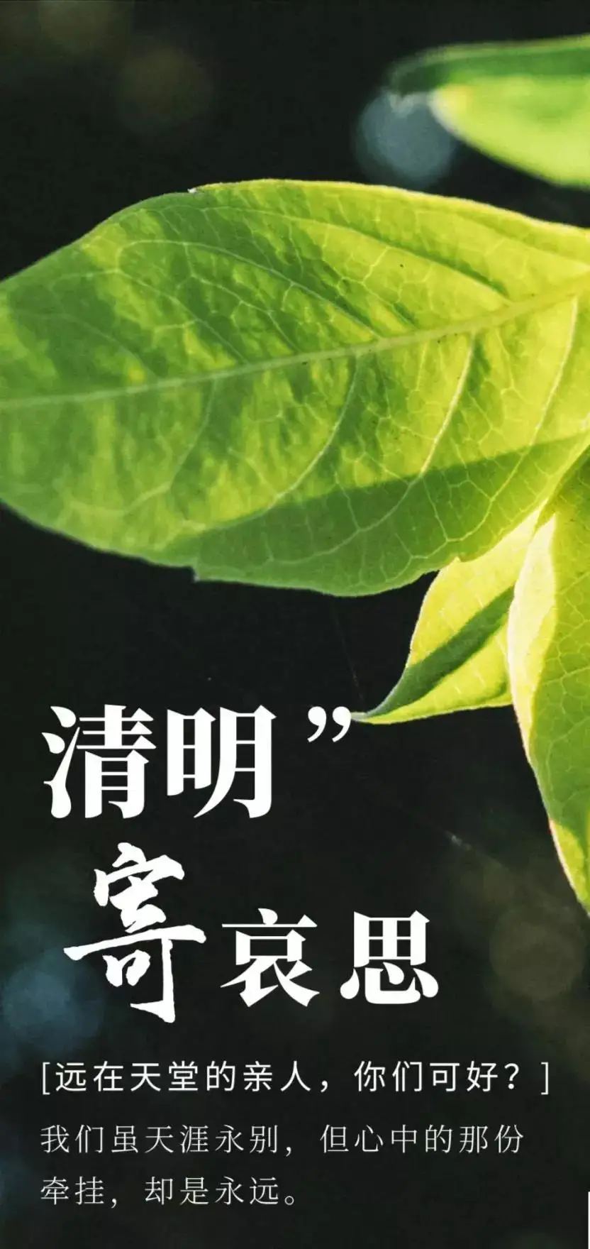梦回清明组诗三首（文/天宫玉兔）……莲叶之珠文学社（图3）