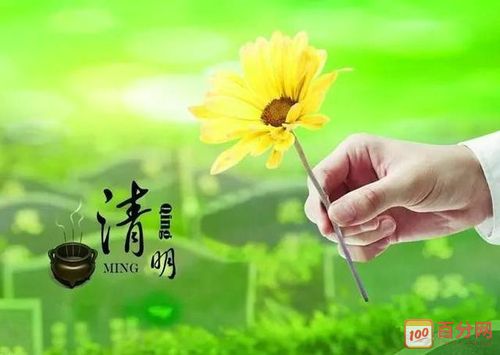 【新山东文学社】清明寄托哀思，但愿山河无恙 十诗人现代诗佳作合辑（十一首）（图4）