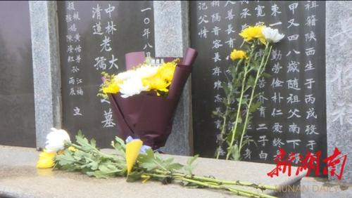 【新山东文学社】清明寄托哀思，但愿山河无恙 十诗人现代诗佳作合辑（十一首）（图12）