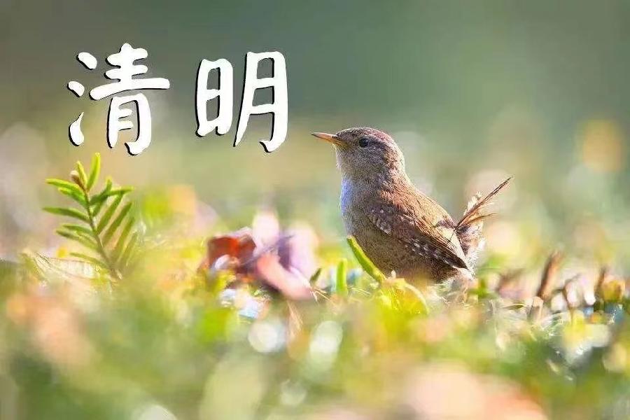 【诗话清明】焦作市诗词学会红叶诗社同题专辑(16)(图16)