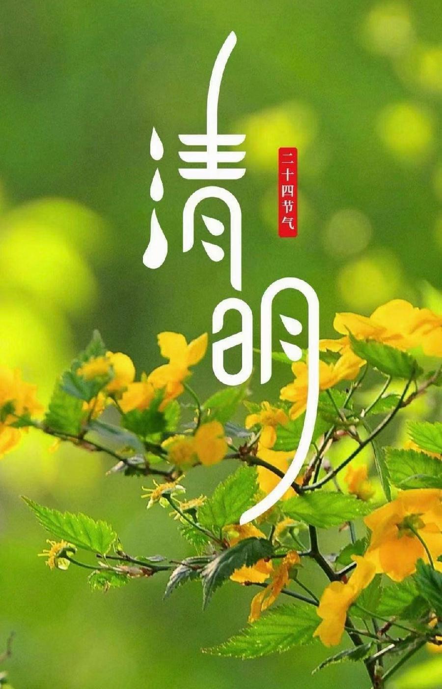 【诗话清明】焦作市诗词学会红叶诗社同题专辑（16）（图15）