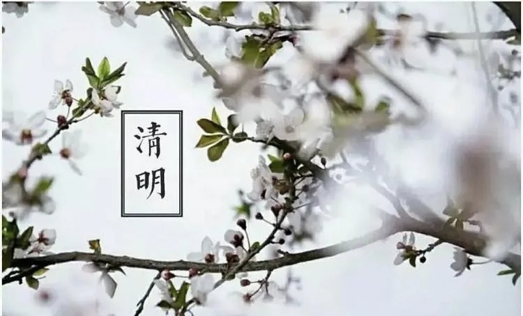 【诗话清明】焦作市诗词学会红叶诗社同题专辑(16)(图22)