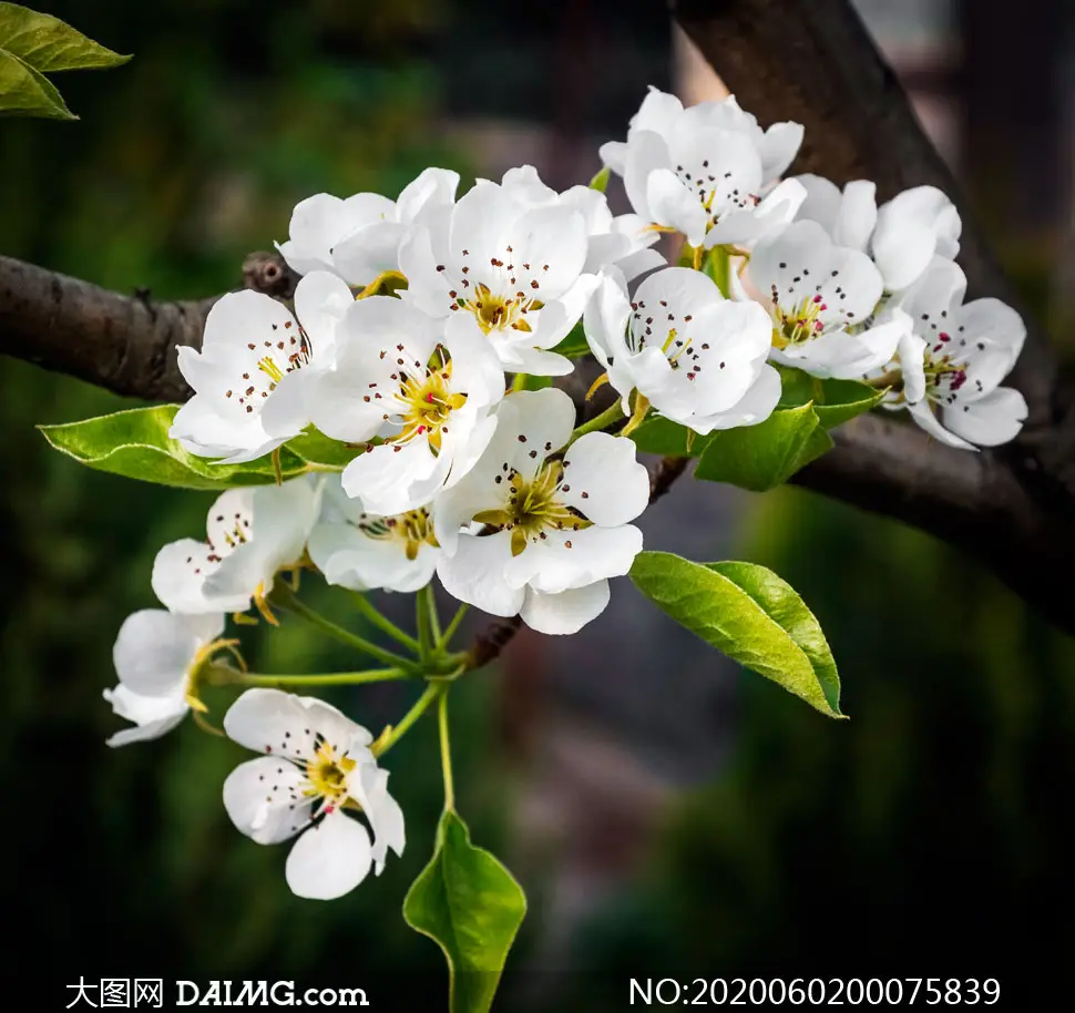 四月的眷恋与希冀Ⅱ文图/赵京江（图6）