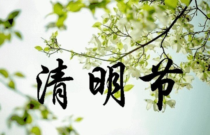刘林丽诗歌作品172期《四月雨 四月泪 四月花》朗诵小丽花 编辑制作刘林丽(图2)
