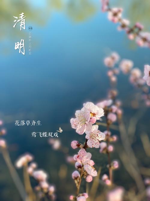 【诗话清明】焦作诗词学会同题专辑(图5)