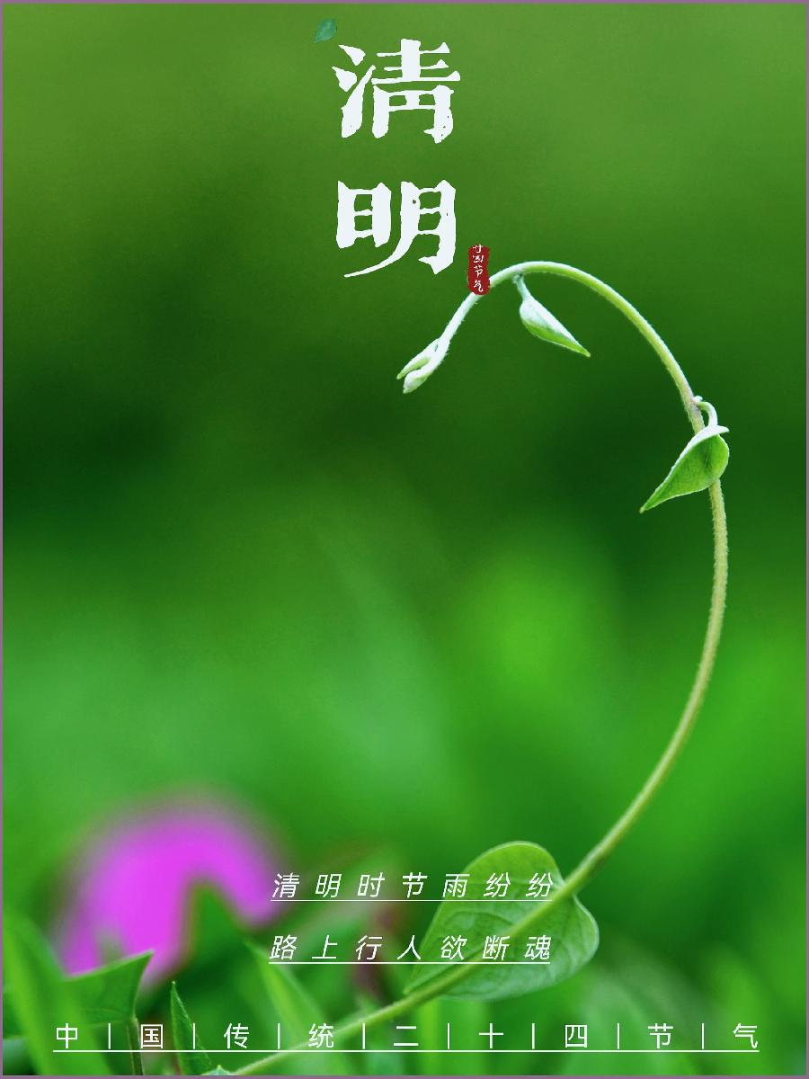 【诗话清明】焦作诗词学会同题专辑(图26)