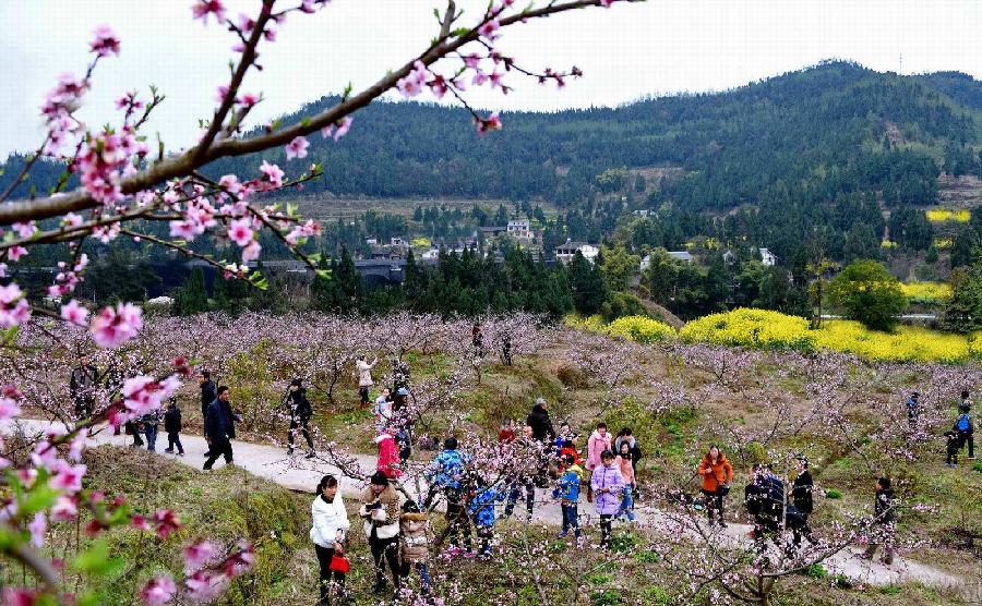 【新山东文学社】《故乡行》作者/赵汉东 主播/吴涵伟（图3）