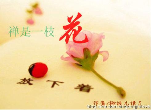 【新山东文学社】《禅是一枝花》作者/梅宇峰 主播/清水出芙蓉（图3）