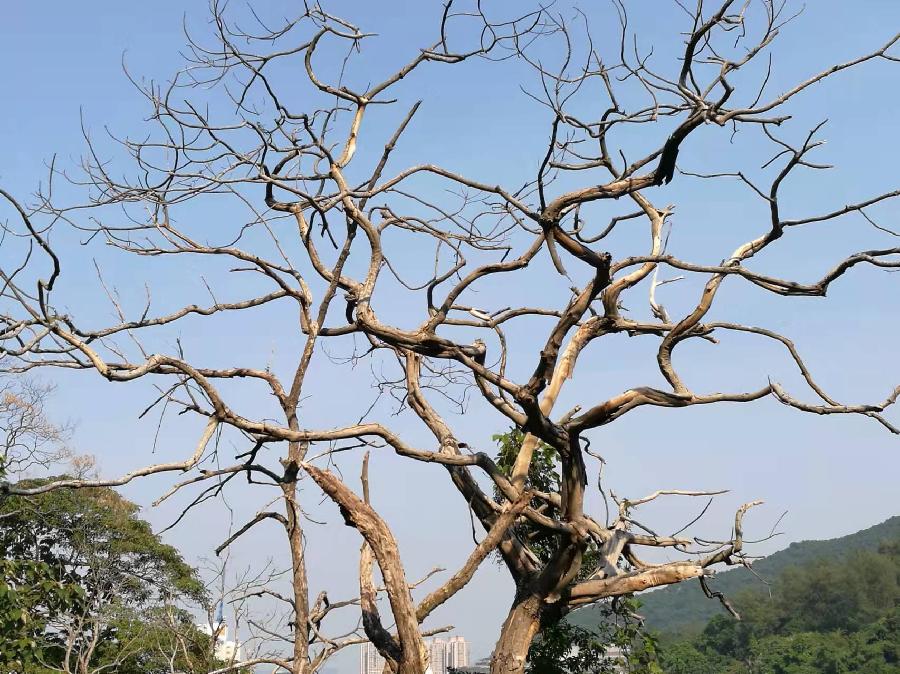 【壬寅清明时节】文/磊怀(图3)