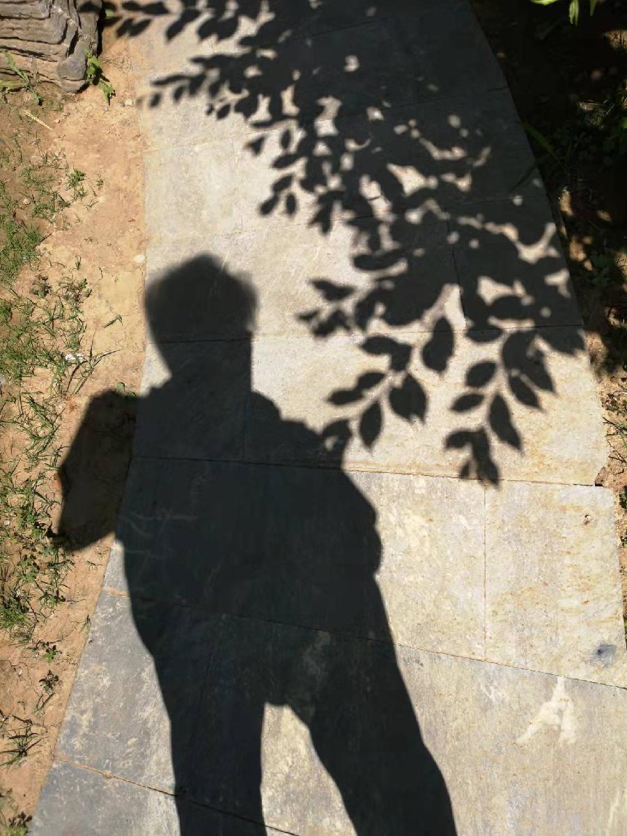 【壬寅清明时节】文/磊怀(图11)