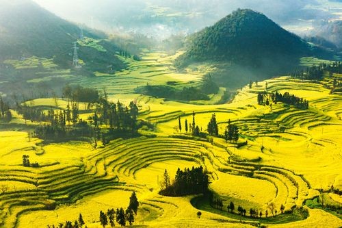 【九江文学社：北京头条】《春之声》文/杨学是（图2）