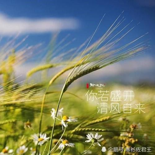【九江文学社：北京头条】《春之声》文/杨学是（图7）