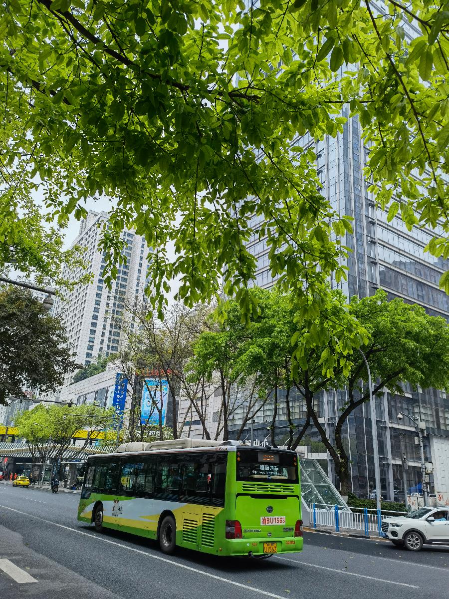 「散文」南坪之春（图7）