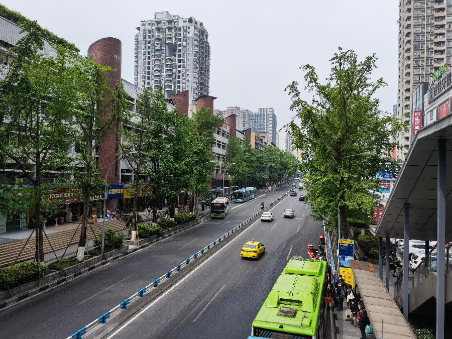 「散文」南坪之春（图13）