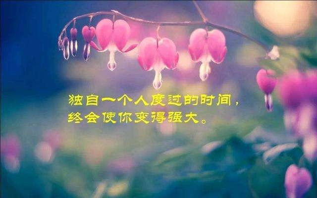 （诗歌专辑一）文/程宝玉〔内蒙古〕【冰心文化传媒】主编冰心（图14）