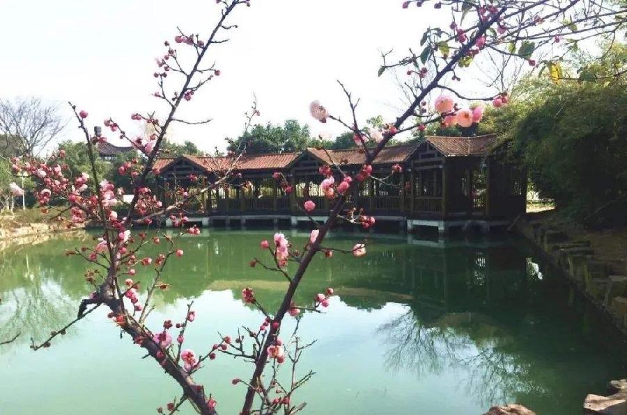 【新诗大观】诗咏镇江||文/卞祖玉（图5）