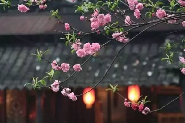 《无题》作者：祥云笼罩;主播：雯煜;编辑：宋梅【中国长江文学社】有声文学平台第3601期（图5）
