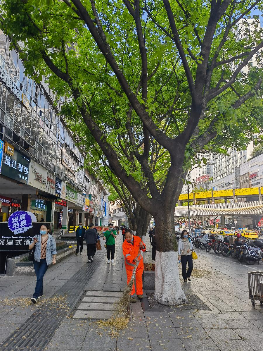 「散文」南坪之春（图3）