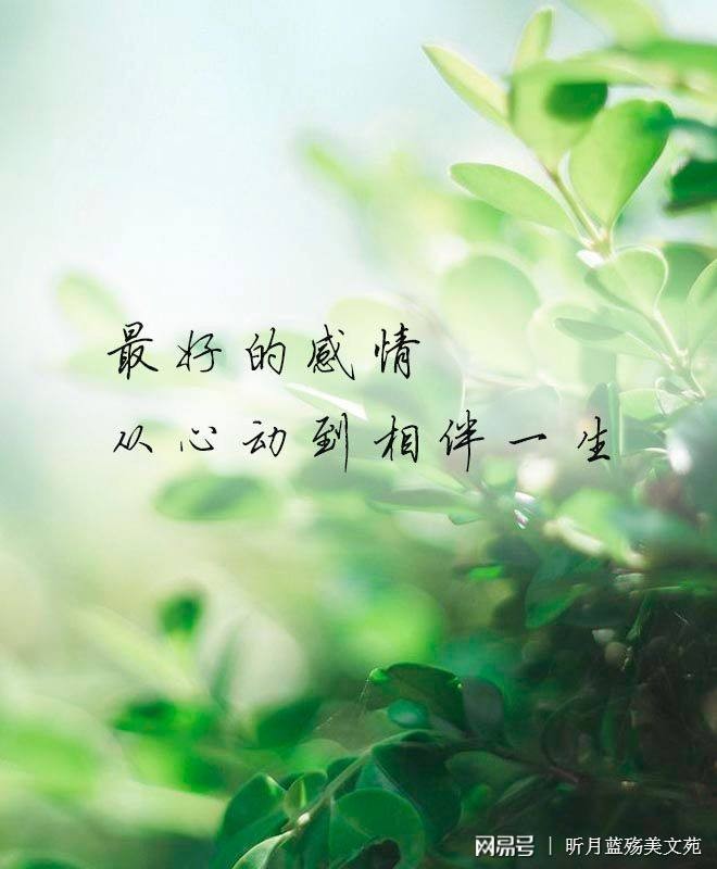〔诗歌专辑〕作者 乐道（广东）【冰心文化传媒】制作 冰心（图27）
