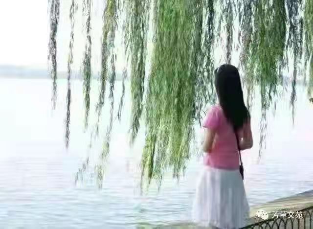 七律•家乡深春美 (80首) 中华新韵 文/画屏墨语