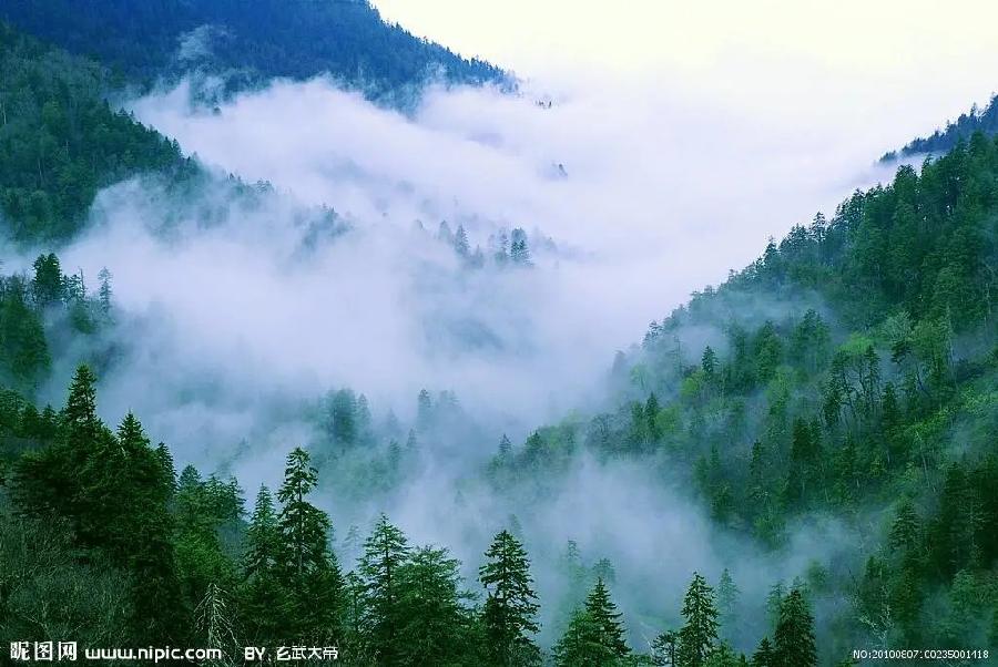 •古体诗专辑•江 南 春 韵 •江 河• 【冰心文化传媒】制作 冰心(图13)