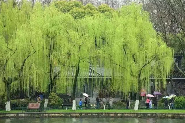 雷学刚作品(图2)