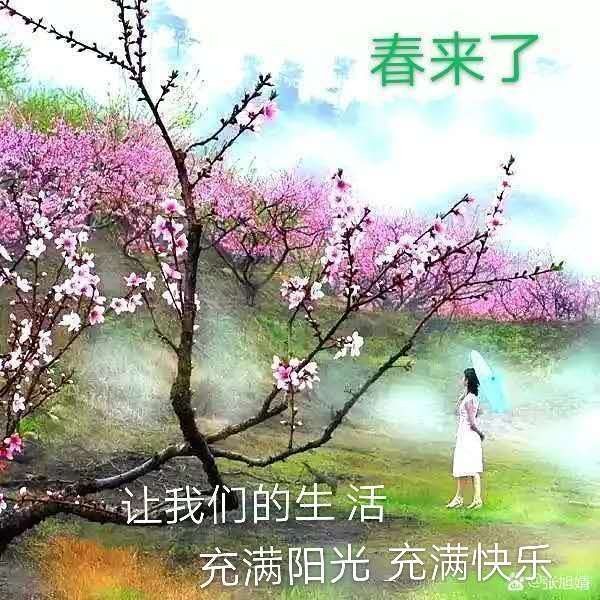 【经典】昨夜天//春去春来花还在 一曲红颜与风吟（图2）