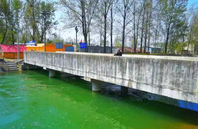 河南鲁山：党建引领谋社区发展，民族团结画和谐乡村