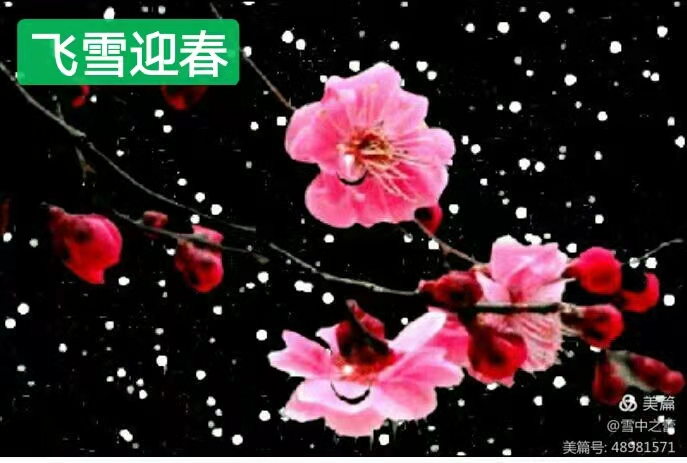 朗诵视频：闻小红老师倾情演绎习学林老师的作品：春之韵｜海外头条（图3）