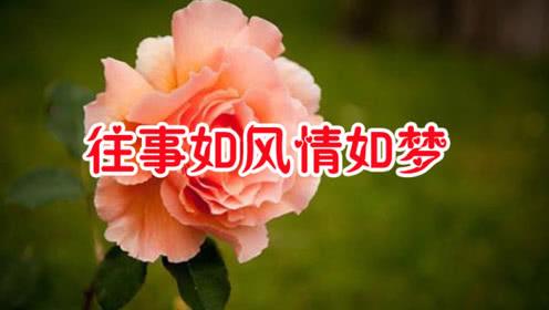 【长篇连载】往事如梦 文/莫柔 第001章:和许君相识(图6)