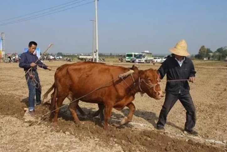 悄 悄 话 作者:刘锦辉 诵读:陈丽娟(图3)