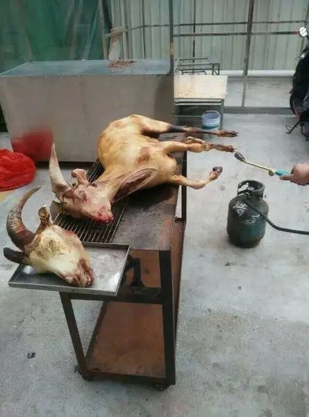 悄 悄 话 作者:刘锦辉 诵读:陈丽娟(图8)