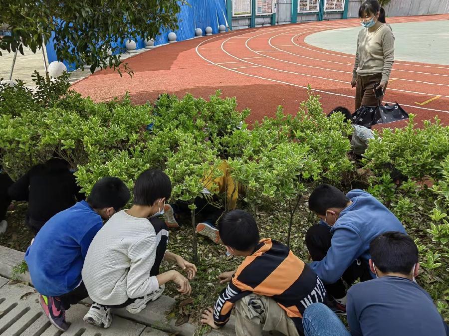 洪方中心学校开展劳动教育活动