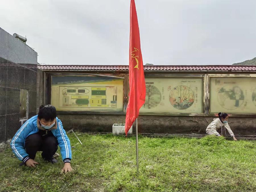 洪方中心学校开展劳动教育活动(图2)