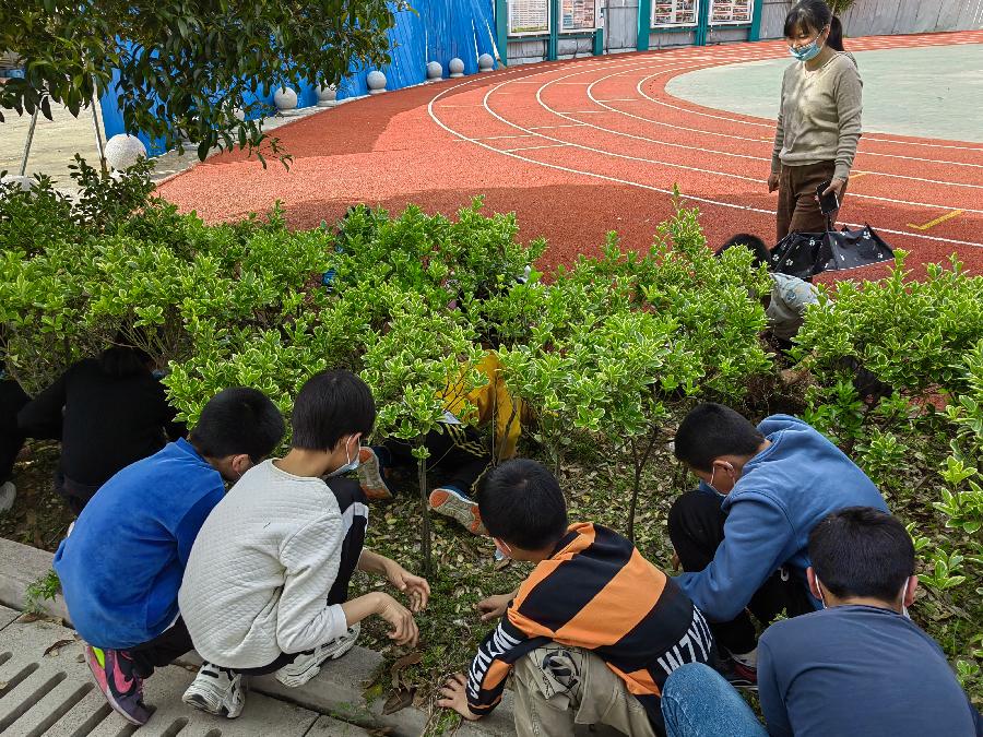 洪方中心学校开展劳动教育活动(图4)