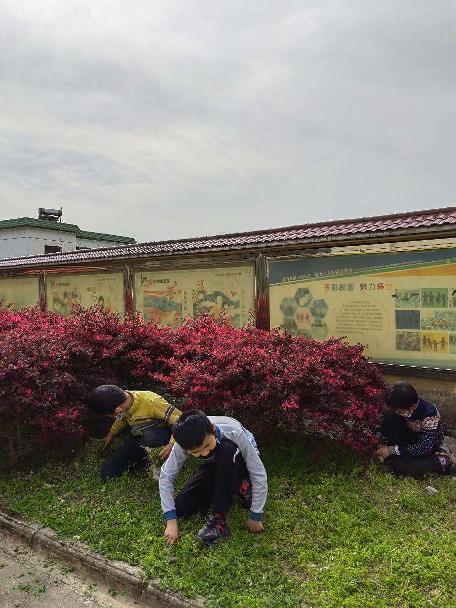洪方中心学校开展劳动教育活动(图7)