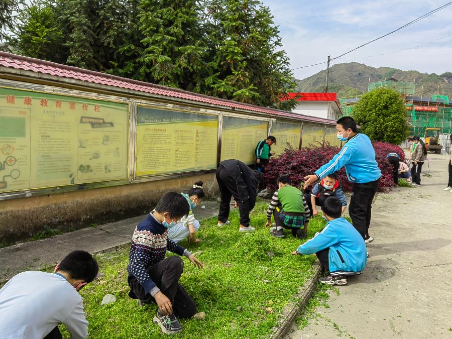 洪方中心学校开展劳动教育活动(图8)