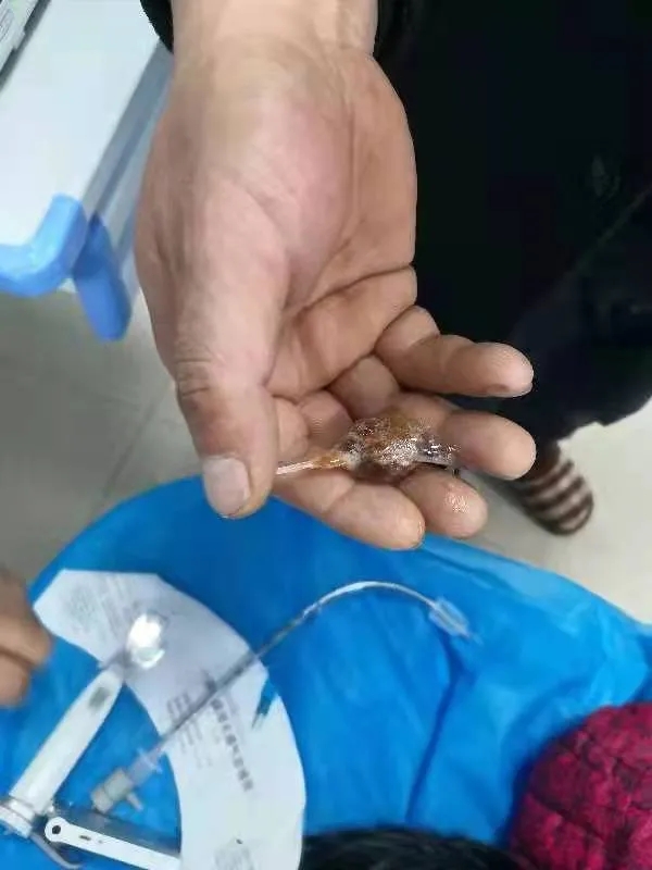 泌阳县中医院急诊科的医生个个是好样的，真中!