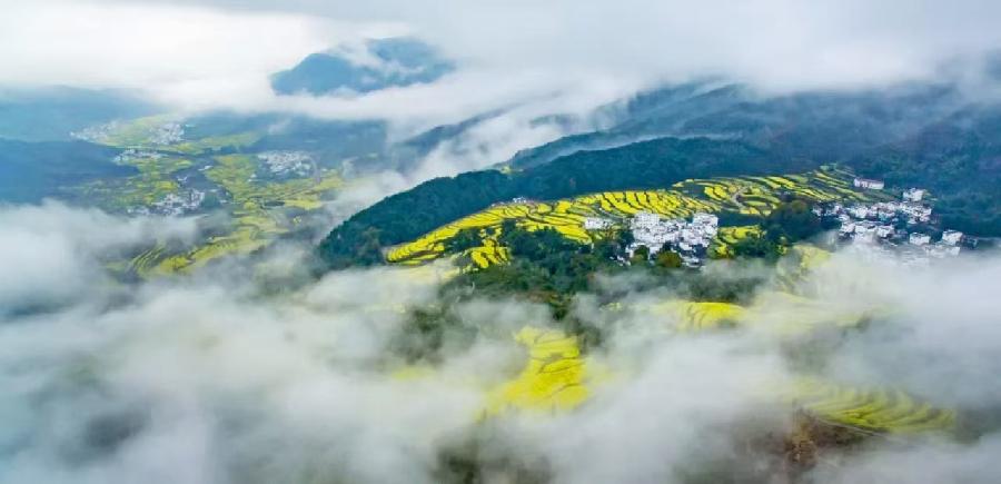 【0514期-古韵风采】（图7）