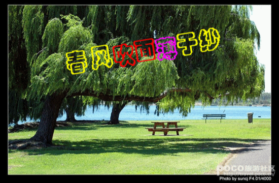 【潇湘文学社】潇湘陶菊诗社《随吟》(总311期)(图11)