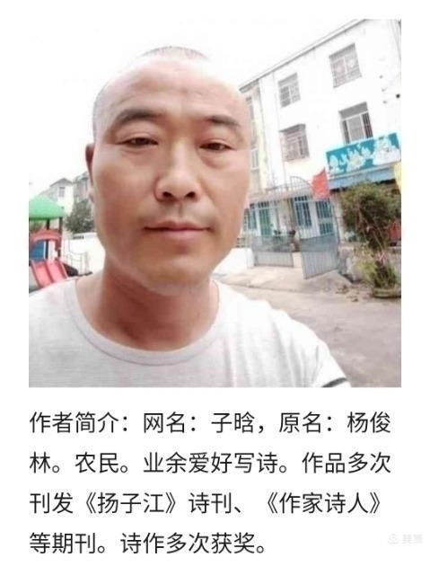 中国诗人／炊烟钓起的日子／作者／子晗（杨俊林／安徽）书法作品／太阳天子／推荐精品（图3）