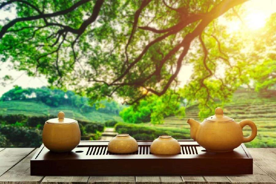【新诗大观】诗心与茶韵||文/姚勇（图4）