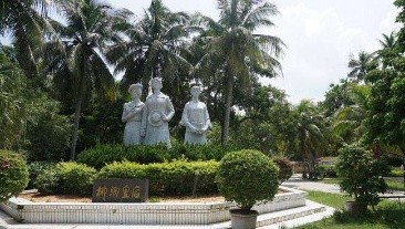 长春头条—椰树礼赞 作者/吴淞 诵读/李秀波(图2)