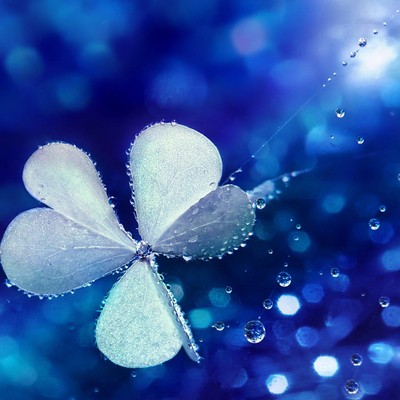 〔词八首〕作者 落雨的秋(四川)【冰心文化传媒】(图7)
