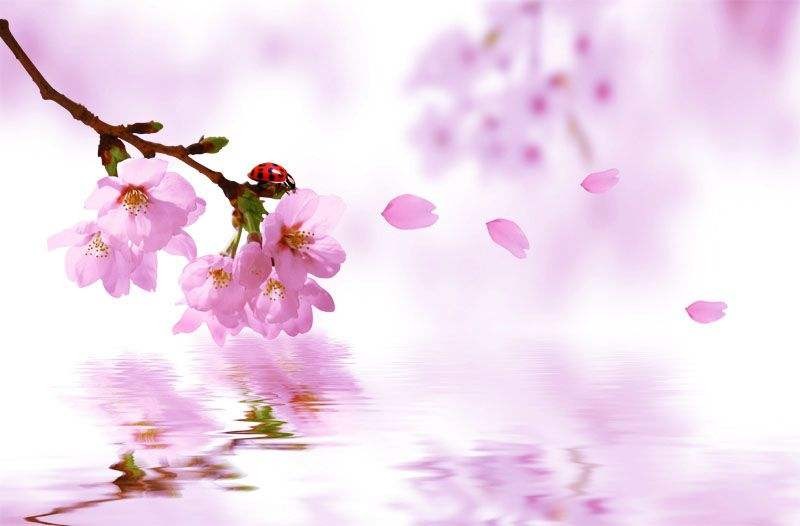 〔词八首〕作者 落雨的秋(四川)【冰心文化传媒】(图3)