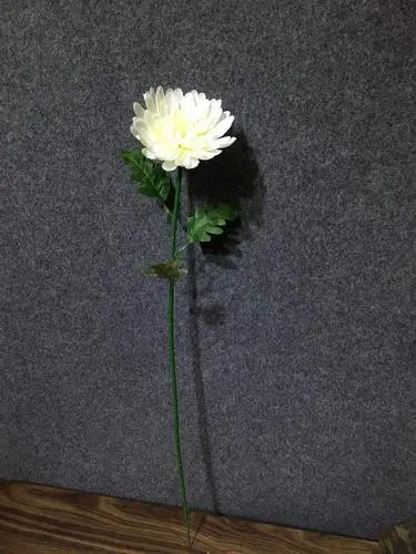 【诗生活】张扬‖给逝者的英灵