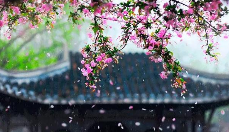 【经典推荐】昨夜天//等一场杏花雨 漫入我的诗行（图3）