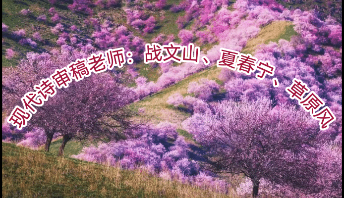 《把情写在春天里》作者：甘露;主播：梦回楼兰;编辑：宋梅【中国长江文学社】有声文学平台第3626期（图3）