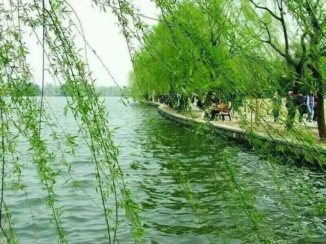 【精英专刊】【九江文学社:北京头条】尹连荣先生佳作欣赏(图9)